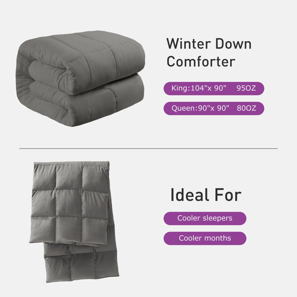 Ebern Designs Javonti Single Duck Down Winter Comforter Duvet Insert